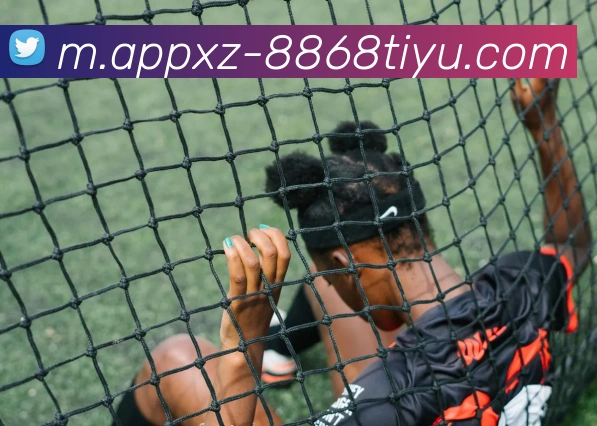 App Interface Preview