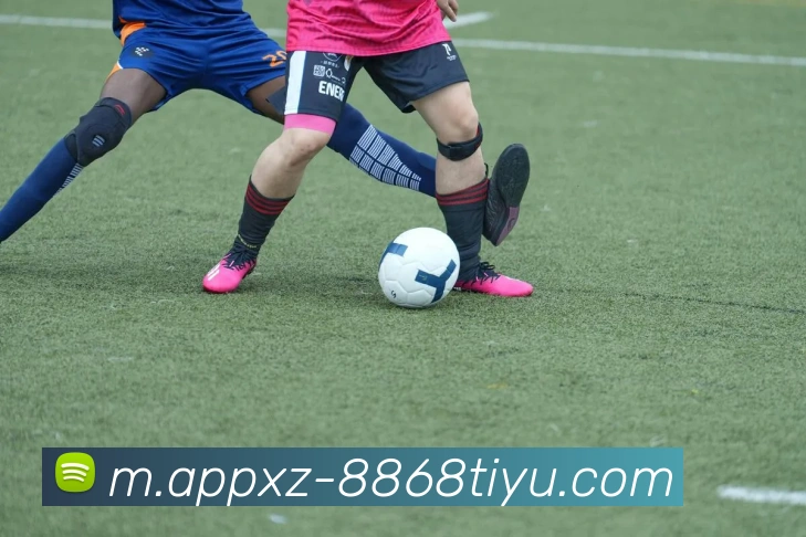 8868体育APP 封面图